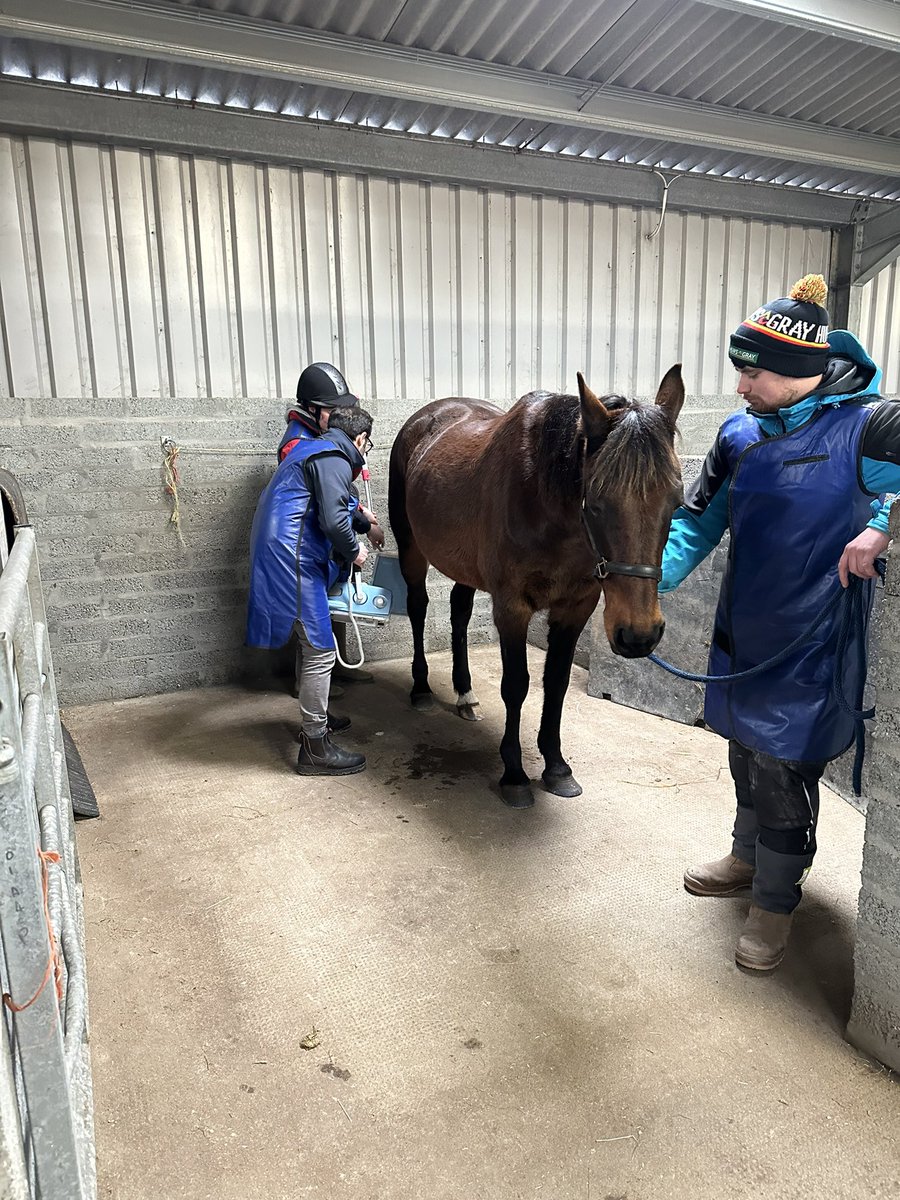 Today our outreach clinic took the @WeipersEquine team to the Isle of Lewis providing specialist services. Supported by the @BritishHorse & #OldMillVets #remoteandruralveterinarymedicine #EileanLeòdhais @PJPollockVet @HeleneMauchlen