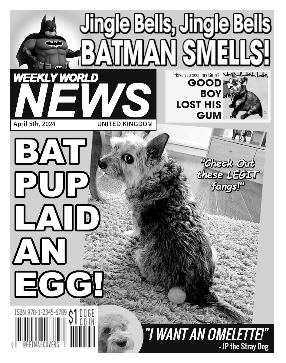 Weekly World NEWS, BREAKING NEWS: Bat Pup laid an Egg! #FakeNews #Pet #Magazine #Covers @jennystape