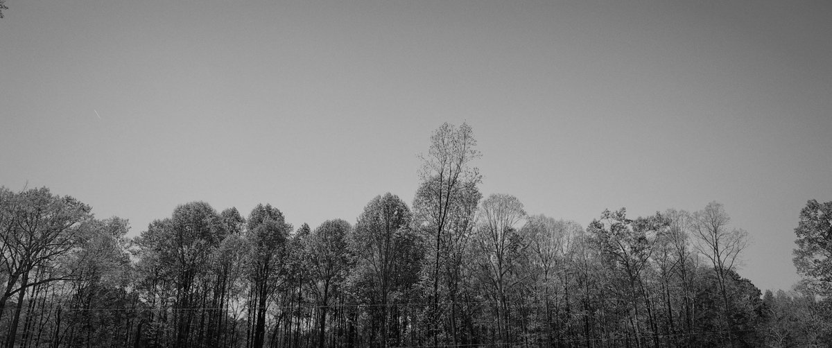 larry (@shotbylarry) on Twitter photo 