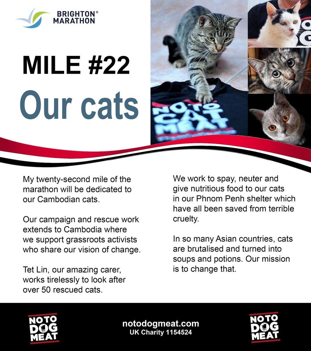 On Sunday we are running for our cats @BrightonMarathn …24brightonmarathonweekend.enthuse.com/pf/nicola-swan…