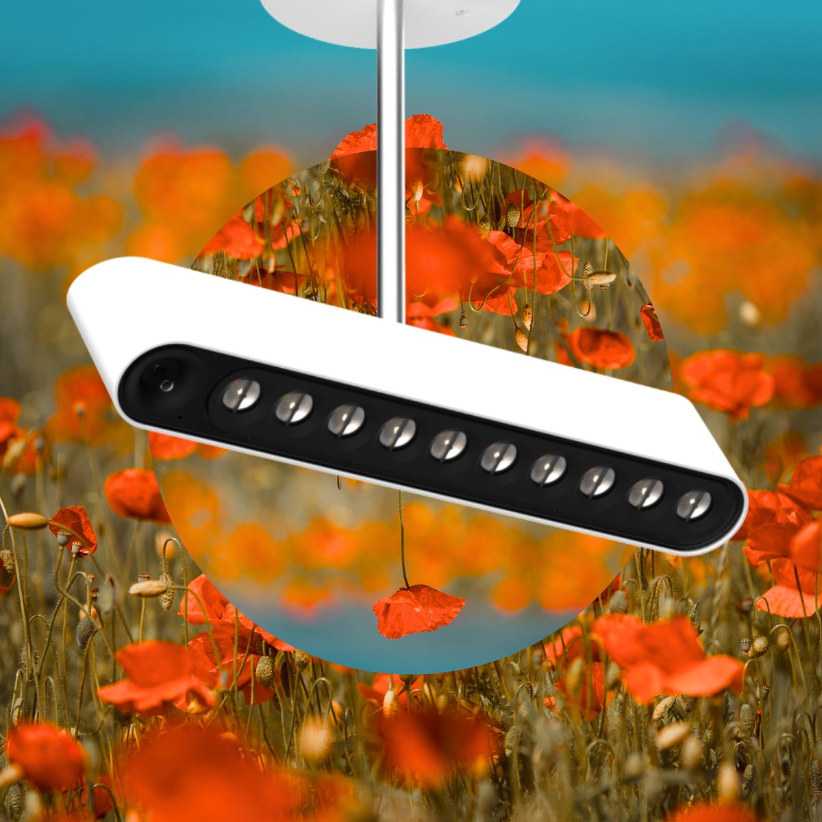 With their patented LightShift technology, Glint by Luminii has created one-of-a-kind light dispersion. Adjusted via joystick, its Hero product family can change the direction of its light without altering the luminaire’s orientation. Learn more: glintlighting.com