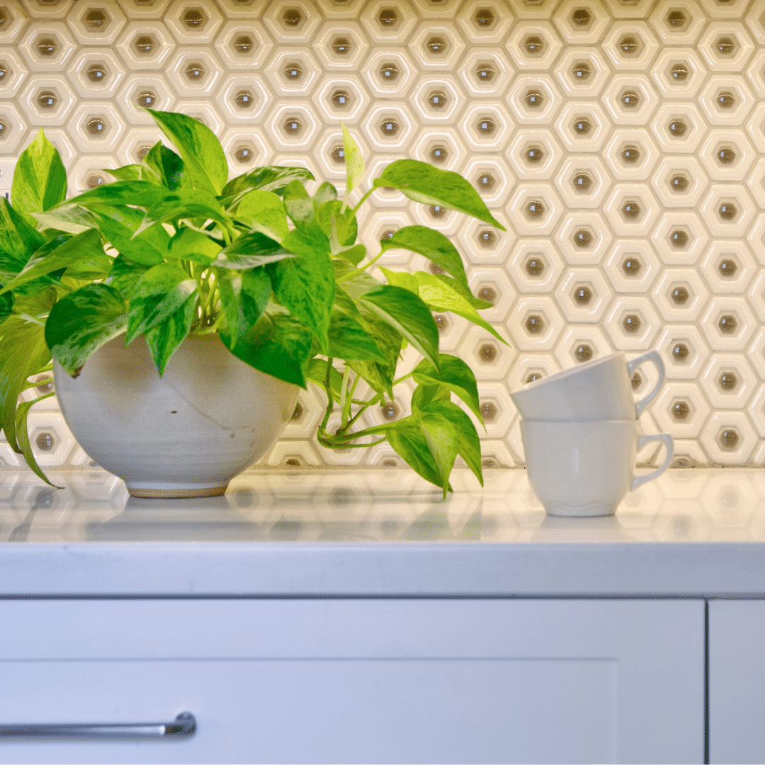 KettlerDesign's tweet image. Teal and brown? Use your favorite colors for accents in your kitchen! 📸 by @stevecashphotography 🌀 @touchstonefinecabinetry 🌀 @walkerzanger tile  #loveyourkitchen #karenkettlerdesign