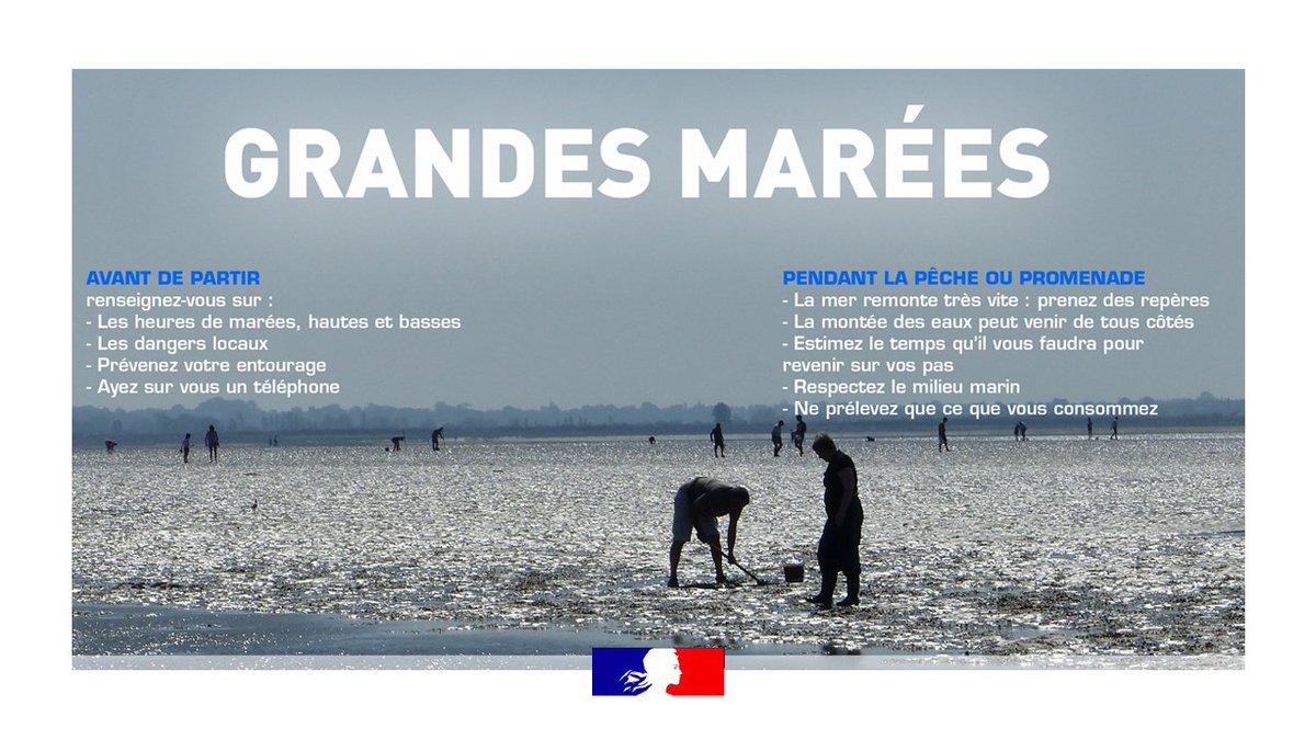 🌊 Forts coefficients de marées prévus sur le littoral du #Calvados

➡️ À partir du lundi 8 jusqu'au jeudi 11 avril.

⚠️ La plus grande prudence s'impose pour les promeneurs 🚶 et les pêcheurs à pied 🎣 

Pour plus d’informations 
calvados.gouv.fr/Actualites/Mer…
