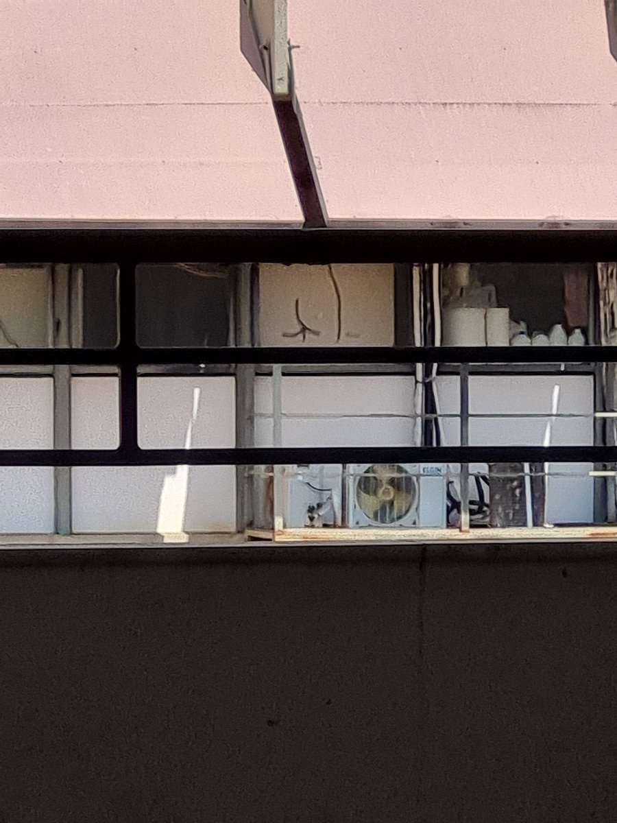 E essa bundinha na janela de um lab do ICB? Amo meu país UFMG