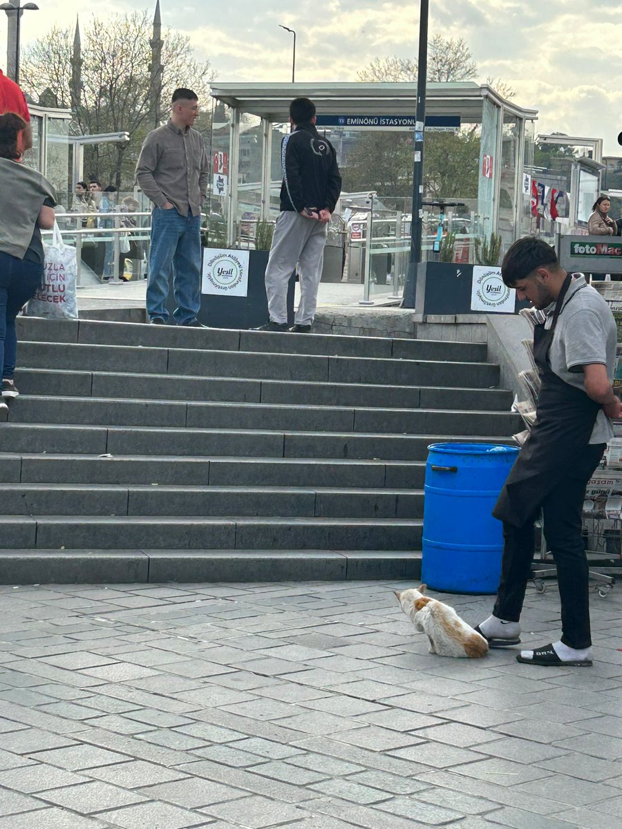 Sirkeci’de eminönü-alibeyköy tramvayinin eminönü durağında merdivenlerden inince direkt sol tarafta kalan bufenin önünde yatan bir kedi var yaşıyor ama çok halsiz büfedeki görevliye sorulmuş hasta denmiş fotoğraflarda resmen üstüne basıyorlar. Acil ilgilenebilecek biri var mı?