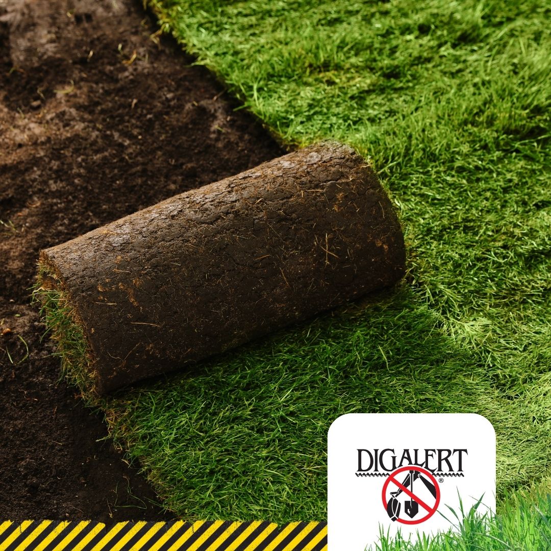 Laying the groundwork for a beautiful lawn? ✨ Don't forget DigAlert®!

Fresh sod can instantly transform your yard. But before you break ground, contact DigAlert®.  It’s fast, it’s easy, it’s FREE and it’s the LAW!

direct.digalert.org

 #FreshSod #DigSafe