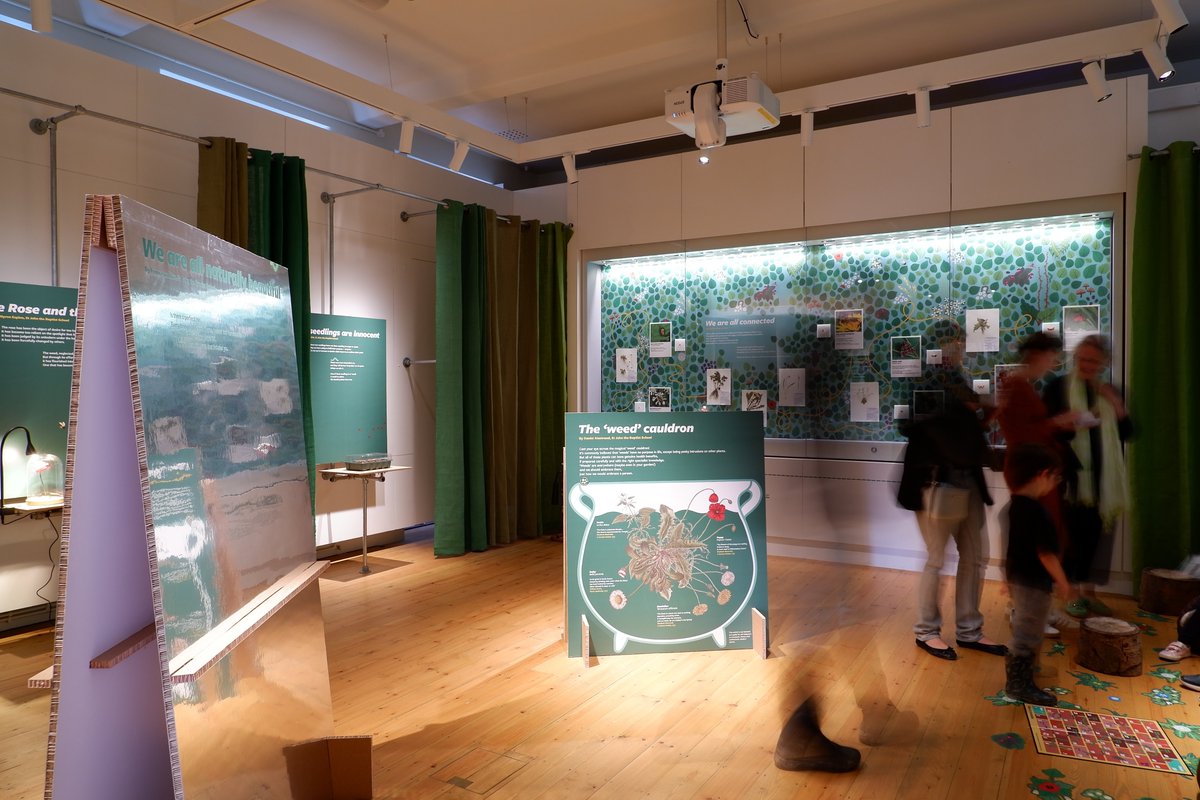 The walls of the exhibition 'What is A Weed' were lined with natural material referencing theatre, achieving a distinctive atmosphere. A project for @RHSWisley designed with @davidsudlow and built by @standard8design. #museum #cocuration #design