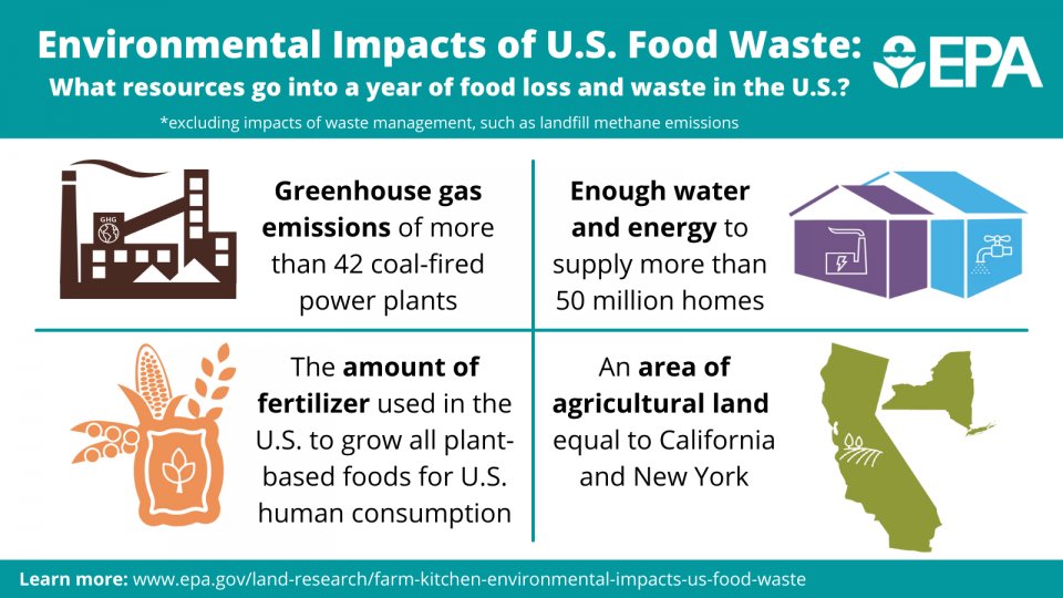 Resources attributed to US food  waste = greenhouse gas emissions of more than 42 coal-fired power plants!🏭
#BeAFoodWasteHero #FWPW #FoodWastePreventionWeek @savethefood