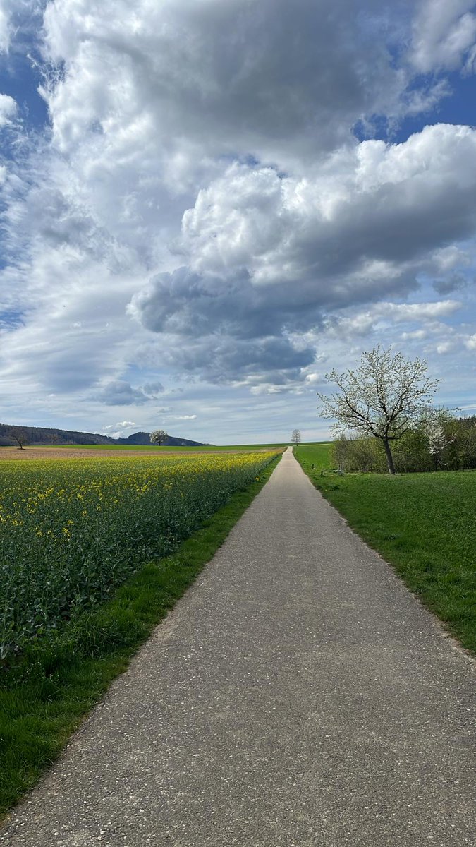 Right now I'm taking a walk through one of the many dangerous hoods here in Switzerland. I could get attacked by a bumblebee or a Schmeissfliege at any given moment. Gotta stay allert.