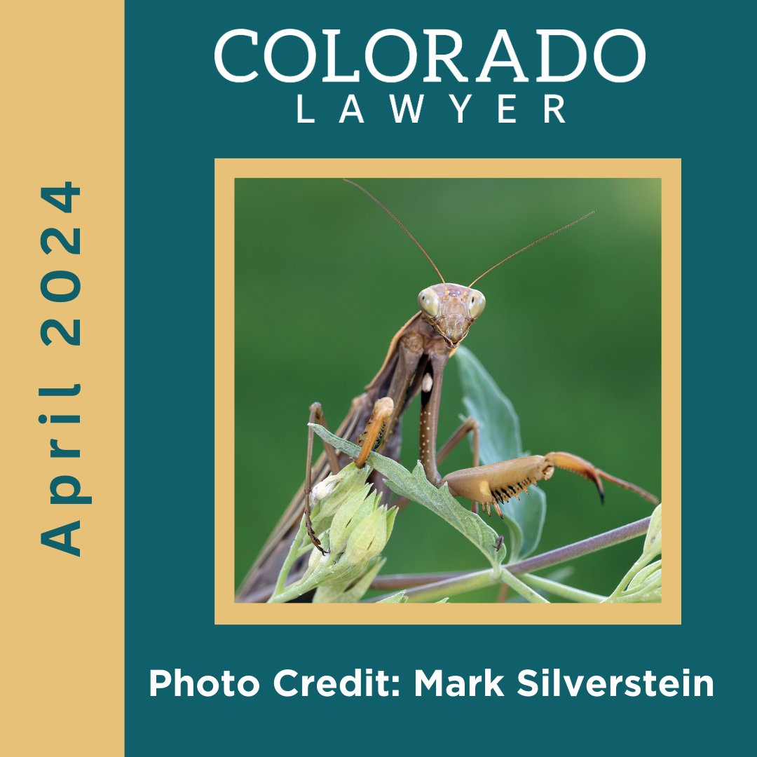 Spring has sprung, bringing leaves 🍃 and bugs🐞! The April edition of Colorado Lawyer is available online! Check it out: tr.ee/u7yBsHd9ng #ColoradoLawyer #AprilIssue #CoverPhoto #PrayingMantis #Photography