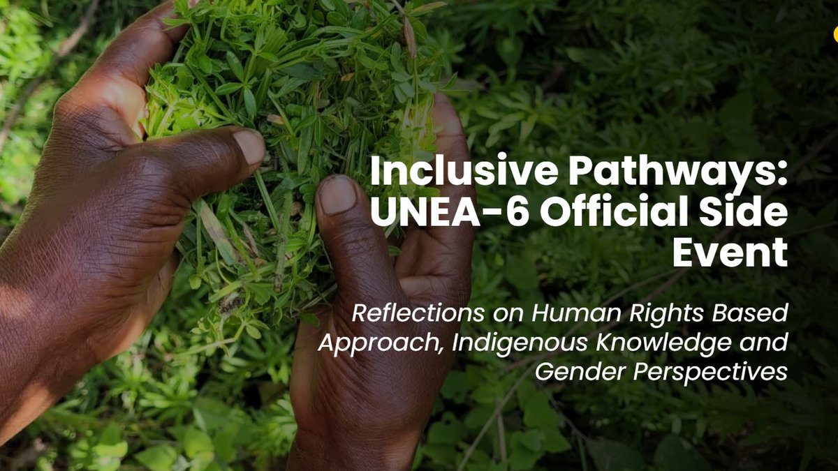🔦Spotlight on “Inclusive Pathways” at #UNEA6, and efforts to champion #IndigenousKnowledge & #GenderEquality in environmental policy. 🌱📄 Discover the impactful stories from #Kenya and beyond, celebrating these vital voices! 👇 besnet.world/inclusive-path…