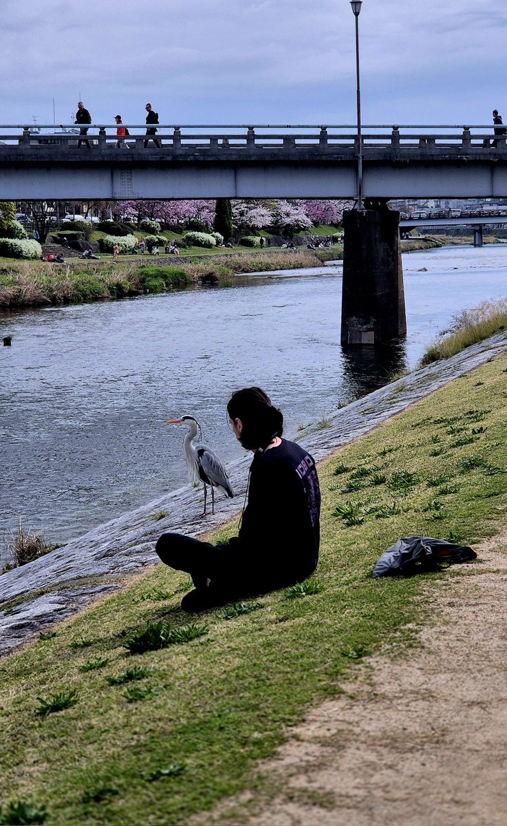 People on travel #Japan