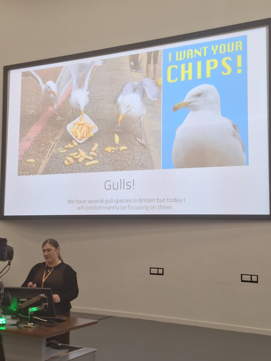 Fantastic papers today, incl. feasting at Crannogs, rethinking seasonality of birds in the hebrides, Roman fuels in Northern England, Neanderthal cannibalism in France, & mercury in marine resources of native populations in Alaska. So much to think about #archaeology #UKAS2024