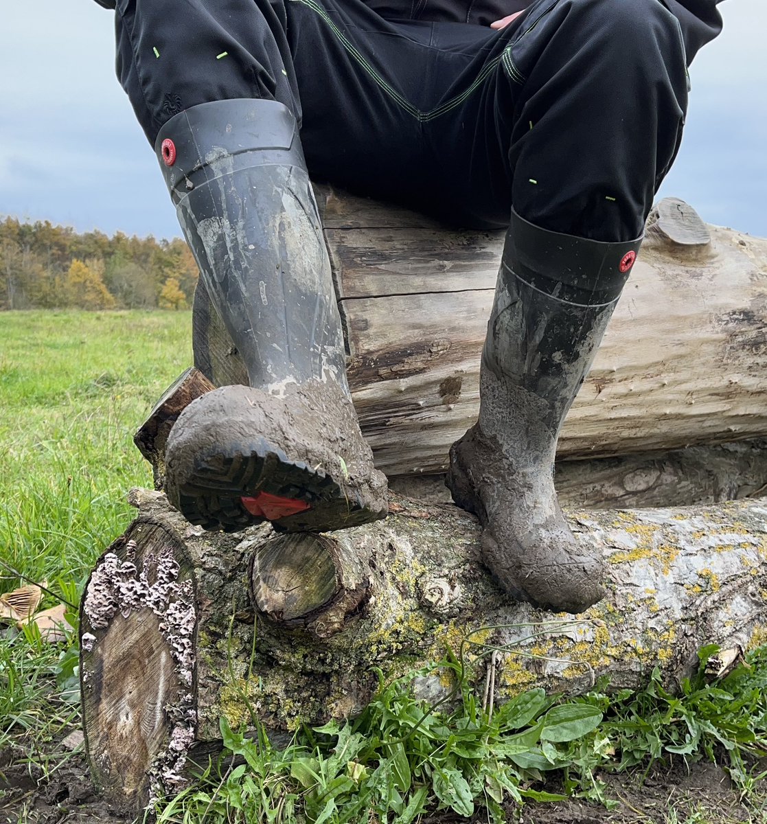 NorabootsDK tweet media