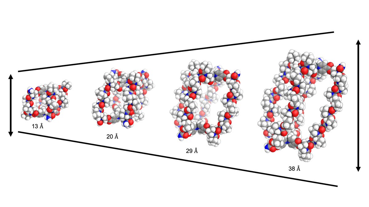 PhD for 2024 Entry - Enhanced stipend (£26k tax free) at @TheCrick and @kclchemistry to work on Tunable Metal-Peptidic Cages for de novo enzyme formation and Drug Delivery! @mcternangroup See tinyurl.com/3zdhmc7r for our latest results and tinyurl.com/4yjuftrt to apply