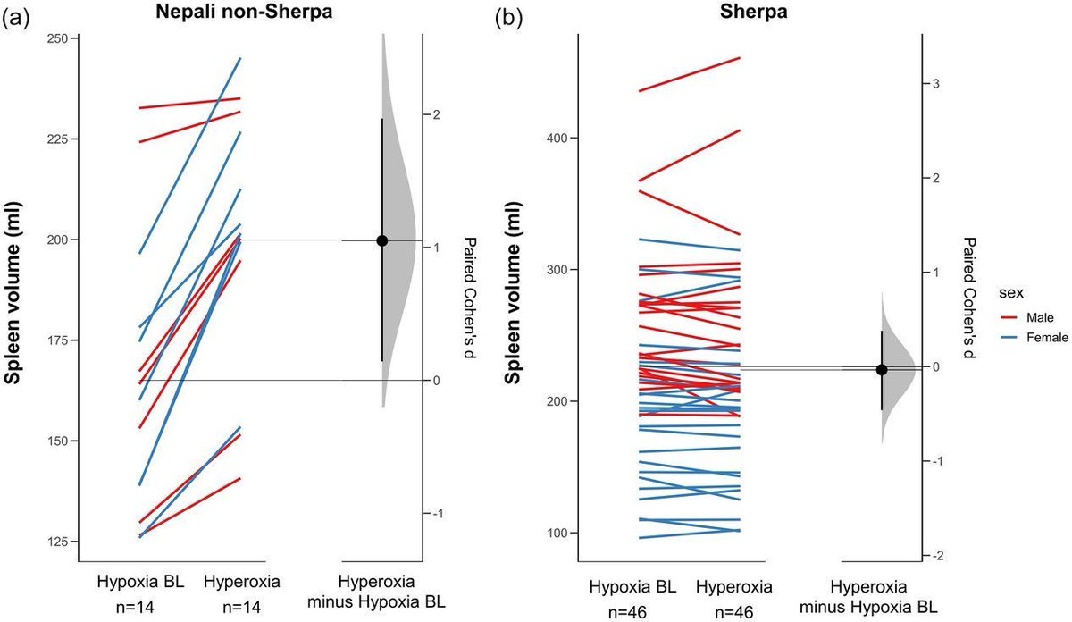 Pontus K. Holmström (Department of Health Sciences, @Mittuni) et al. display the differential splenic responses to hyperoxic breathing at high altitude in Sherpa and lowlanders! 📜buff.ly/4cKiWMF