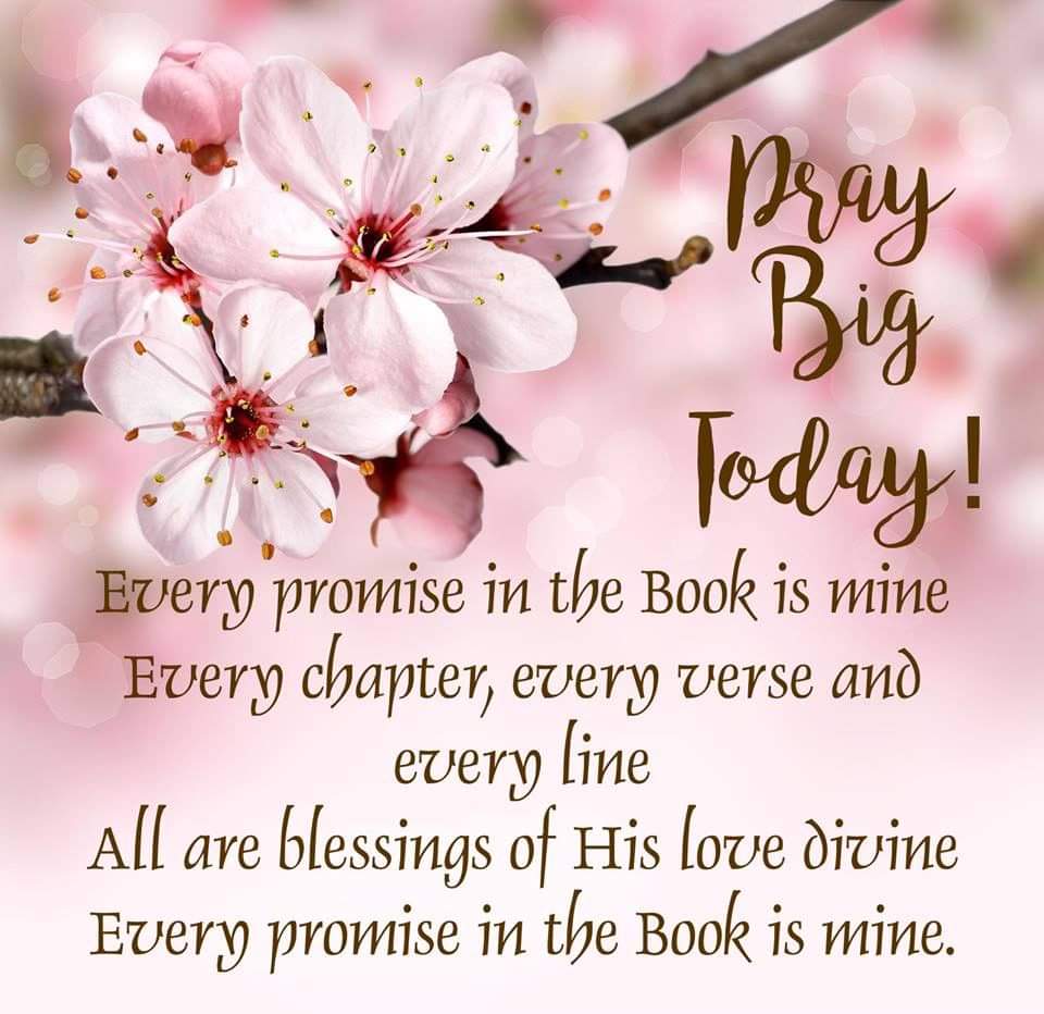 MrsCook91's tweet image. 