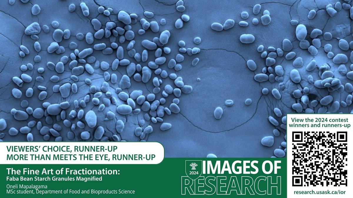 Congratulations to @agbiousask MSc student Oneli Mapalagama, runner-up for the 'More than Meets the Eye' and 'Viewers' Choice' categories in the #USask 2024 Images of Research competition! #USaskResearch For more info on the photo> research.usask.ca/ior