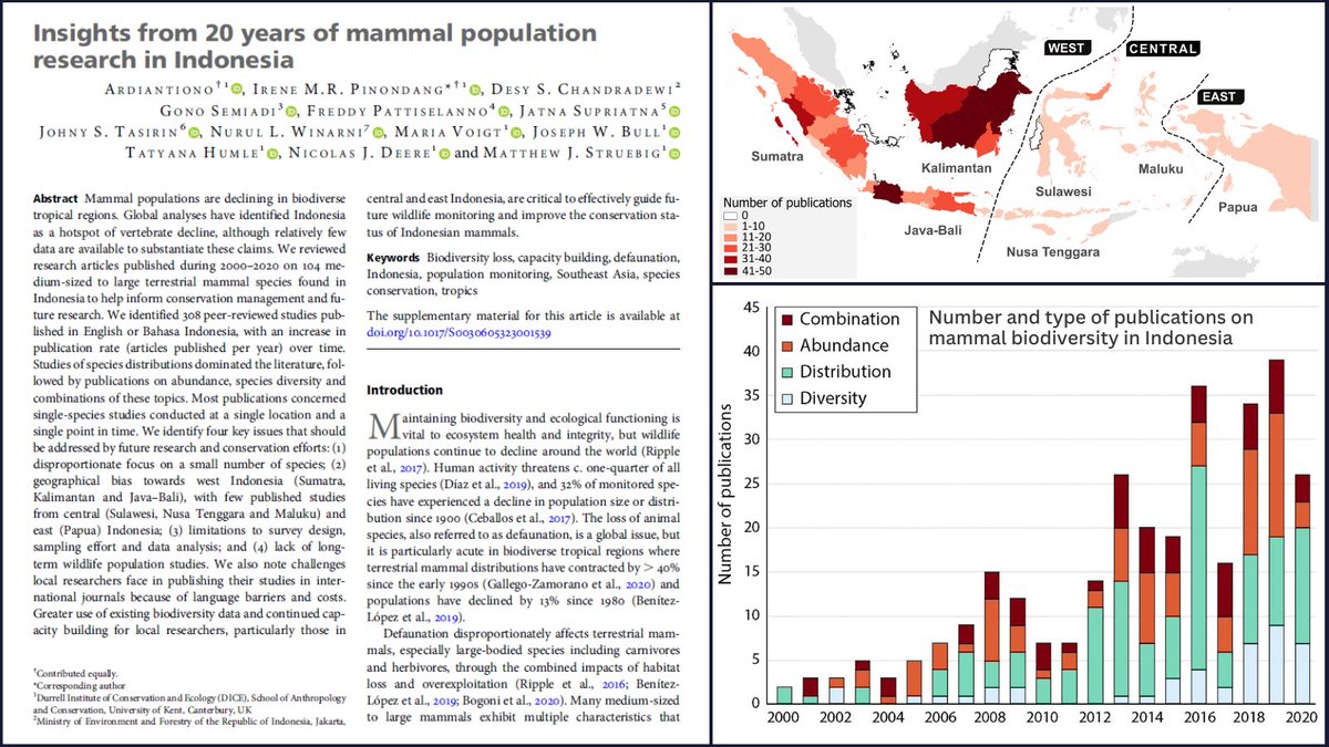 Ardiantiono et al. reviewed 20 yrs of mammal population research in Indonesia, identifying 4 key knowledge gaps & highlighting opportunities for future research as well as challenges faced by local researchers, such as language barriers & cost: doi.org/mqhk🐾@DICE_Kent