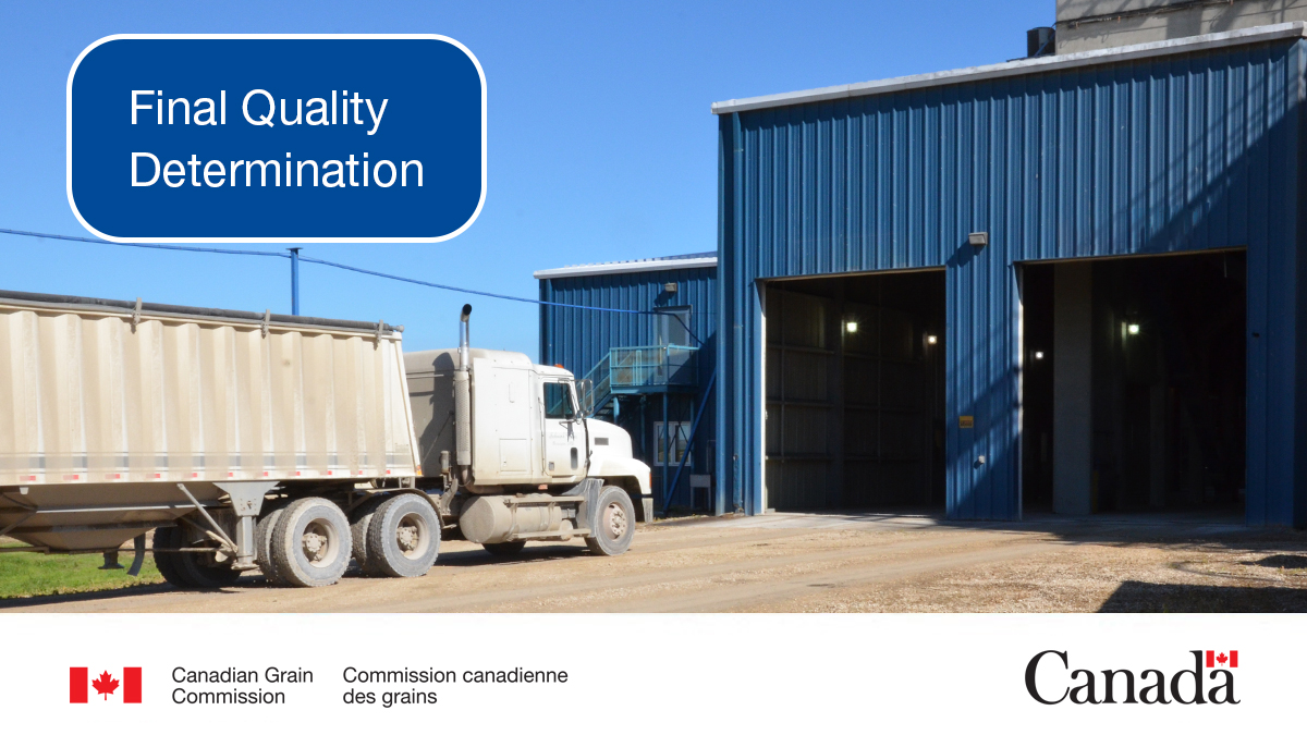 Delivering grain and disagree with a licensed primary elevator’s assessment? You can request a Final Quality Determination of your grain’s official grade or any individual grading factor, incl: - moisture - protein - dockage ow.ly/vrJF50R3nzC #CdnAg #WestCdnAg