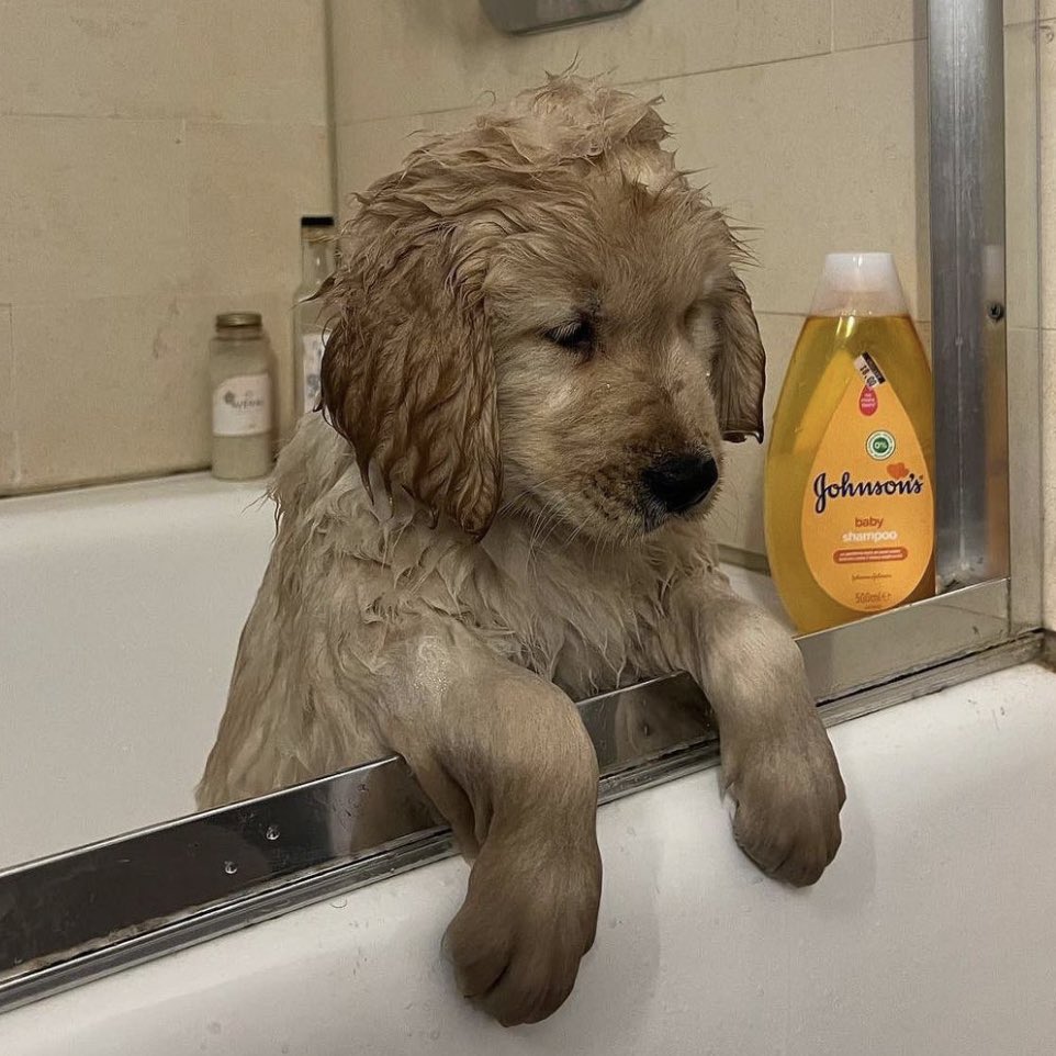 น้ามก้อาบ ฟันก้แปง มอมแมมตงไหน