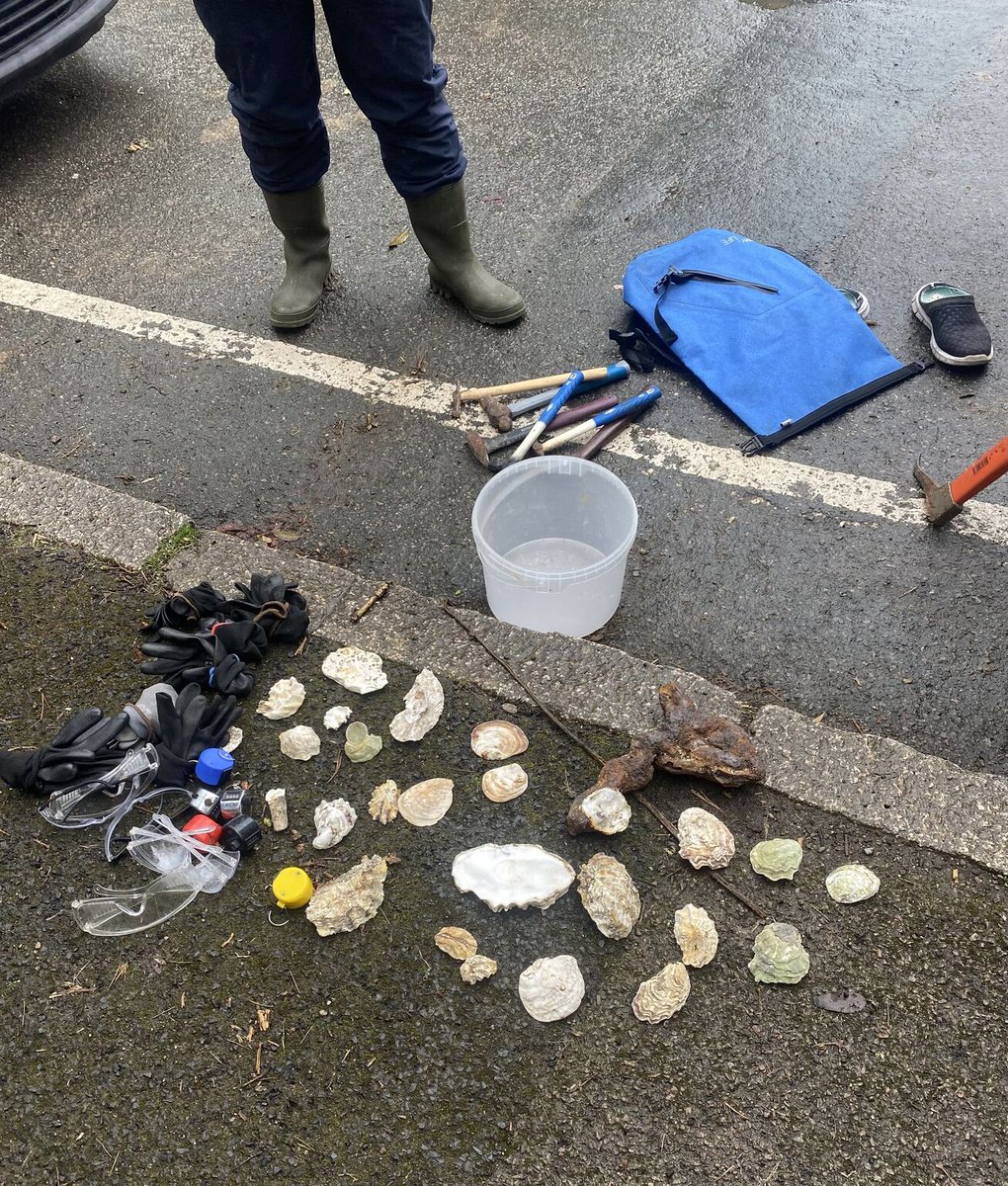 “I have recently volunteered with FMC on their Pacific Oyster Project. I assisted with surveys to monitor growth patterns and stop their unplanned breeding. I am excited to continue making a positive impact on our local shores with future surveys!” ~ Emma