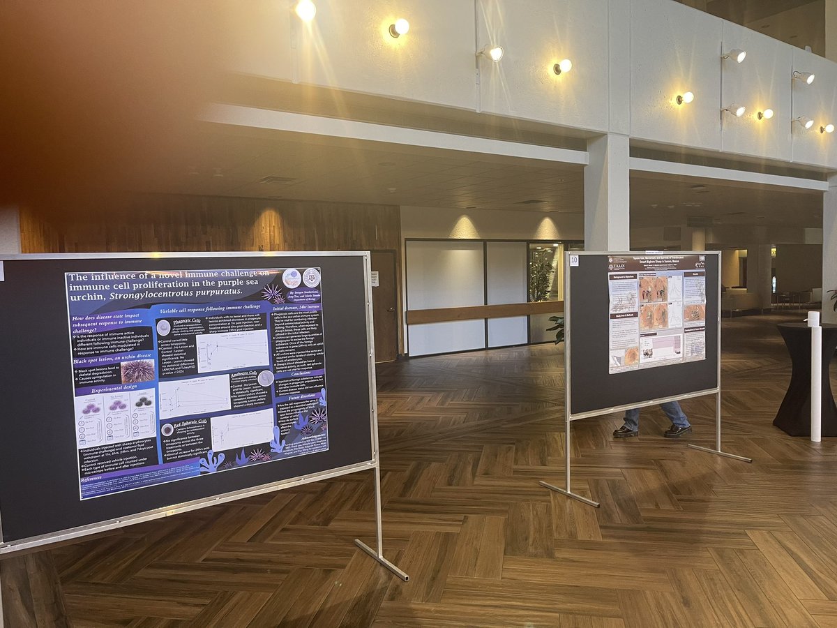 EIStamu's tweet photo. Ensure you sign-in at the registration booth. Also, swing by for student poster presentations by 11am.

#EIS2024 https://t.co/ia7Kv4QoJc