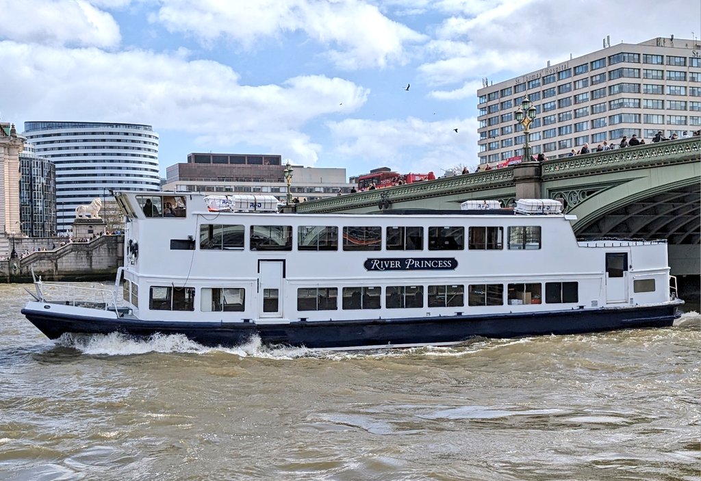 River Princess at Westminster @LDNPartyBoats Photo by Sam