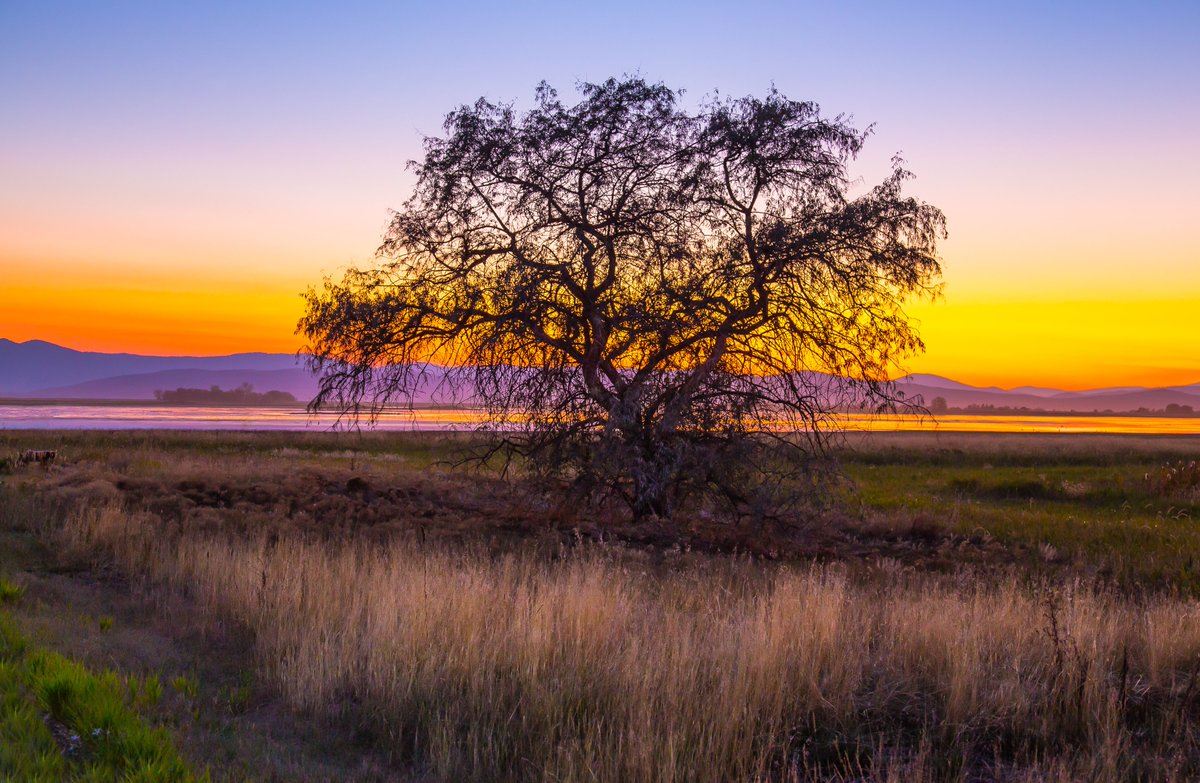 At Ninepipe National Wildlife Refuge, you can immerse yourself in the valleys of Northwestern Montana, shaped by glacial forces and steeped in rich cultural history. Visitors can experience incredible habitats and the natural beauty of these lands. Photo by Christal Steele