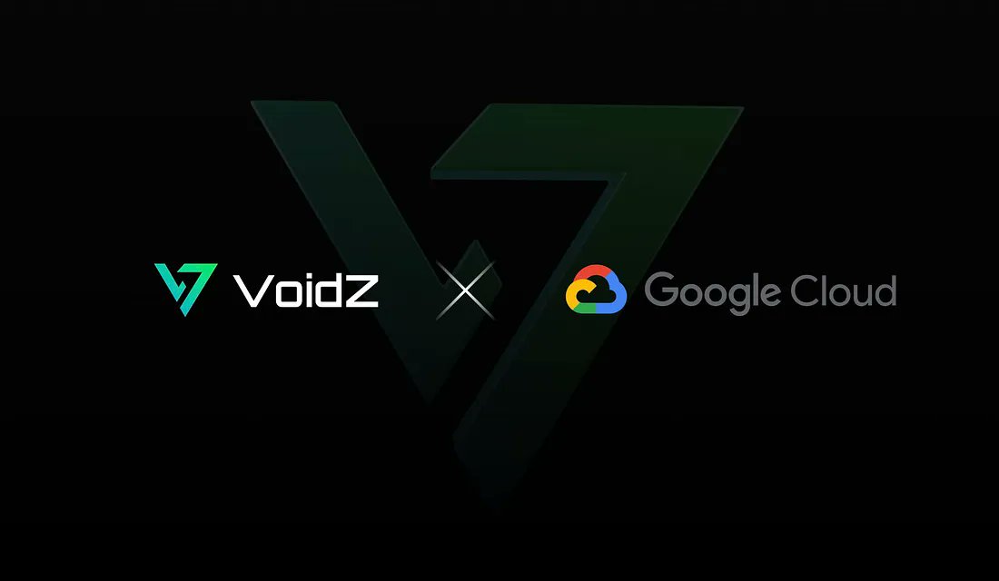 VoidZ tweet media