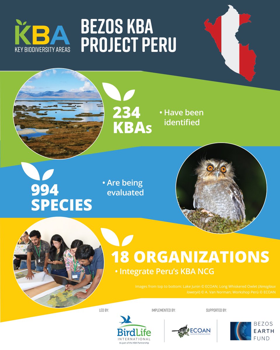 Discover the results of the Bezos #KBA Project in Peru 🇵🇪 🌱234 KBAs identified 🌱994 trigger species evaluated 🌱18 organizations involved in the KBA National Coordination Group This project was implemented by #ECOAN, led by @BirdLifeAmerica and funded by @BezosEarthFund.