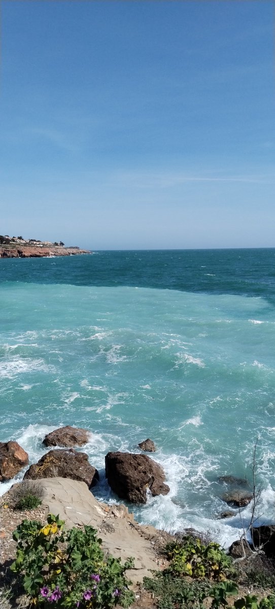 Super happy to have been able to present my work at @clubexoendo and visit the nice surroundings in Sète! Very interesting talks from everyone:)