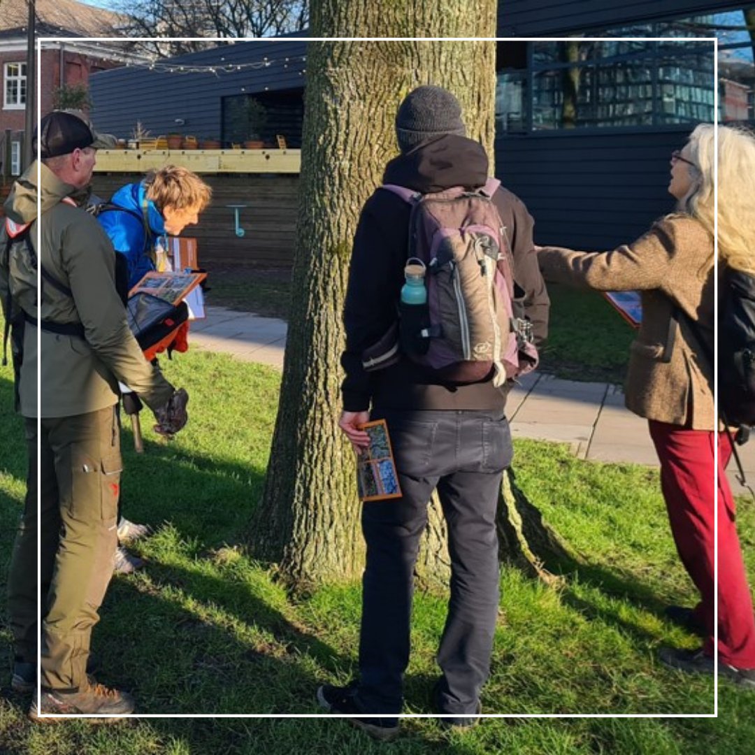 SamenMetenU's tweet photo. 🌳 Help wetenschappers om de effecten van hitte in de stad te meten met korstmossen op bomen. Meer informatie vind je op onze website: https://t.co/04Quvf8Uef
#samenmetenutrecht #smu #citizenscience #wetenschappers #hitte #stad #mossen #bomen https://t.co/jh8fDgh4HS