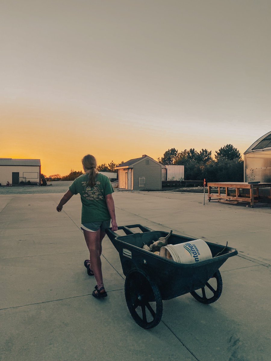 Erin Dickey (@my_blank_page) on Twitter photo 🏅GOLD | Top Ten State Natural Resources Speaking
Congrats <a href="/EmaDickey/">Ema Dickey</a> 💪🏻
#womeninagriculture #ffa
| Bee Vectoring Technology |
<a href="/RyanDickeyCCDad/">Ryan Dickey</a> 🏅GOLD | Top Ten State Natural Resources Speaking
Congrats <a href="/EmaDickey/">Ema Dickey</a> 💪🏻
#womeninagriculture #ffa
| Bee Vectoring Technology |
<a href="/RyanDickeyCCDad/">Ryan Dickey</a>