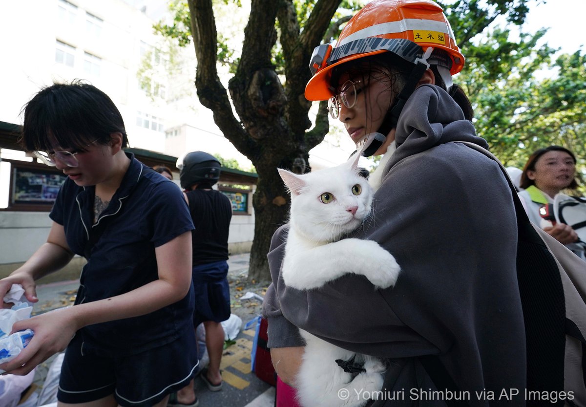 A 7.4-magnitude earthquake jolted the sea area near Hualien in Taiwan on Wednesday, the strongest earthquake to hit the island in 25 years. At least 10 people are dead, more than 1,000 injured, and there are reports of more than 700 people still trapped and awaiting rescue. ⁠