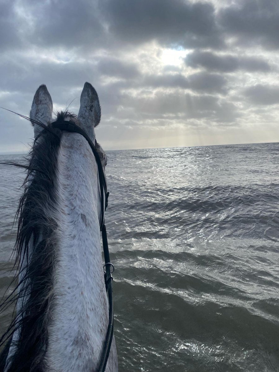 What an image 😮 Vanillier and groom Beckey, stood on Mornington beach with ONE week to go until the Randox Grand National 🤩 @gavincromwell1