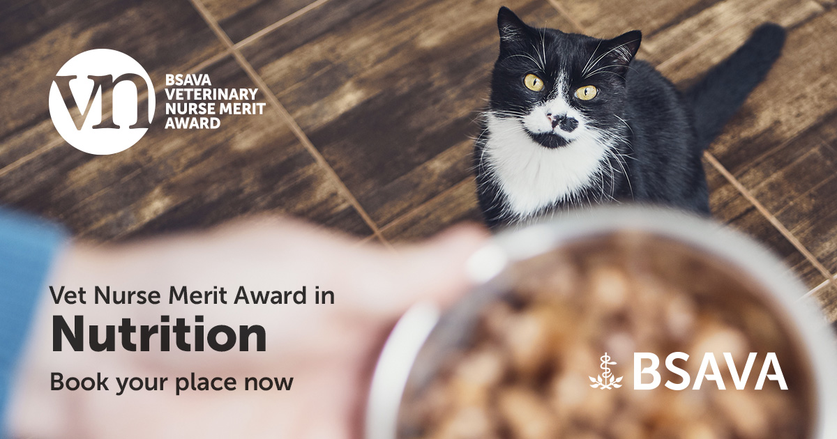 Our VNMA in Nutrition is starting soon! 

This covers 30 hours of CPD focusing on feeding for life stages, obesity in dogs and cats, specific supporting diets, rabbit nutrition and more. 

Find out more: ow.ly/i0Fa50R9ioY  #VetNurse #vetnursecpd #RVNCPD