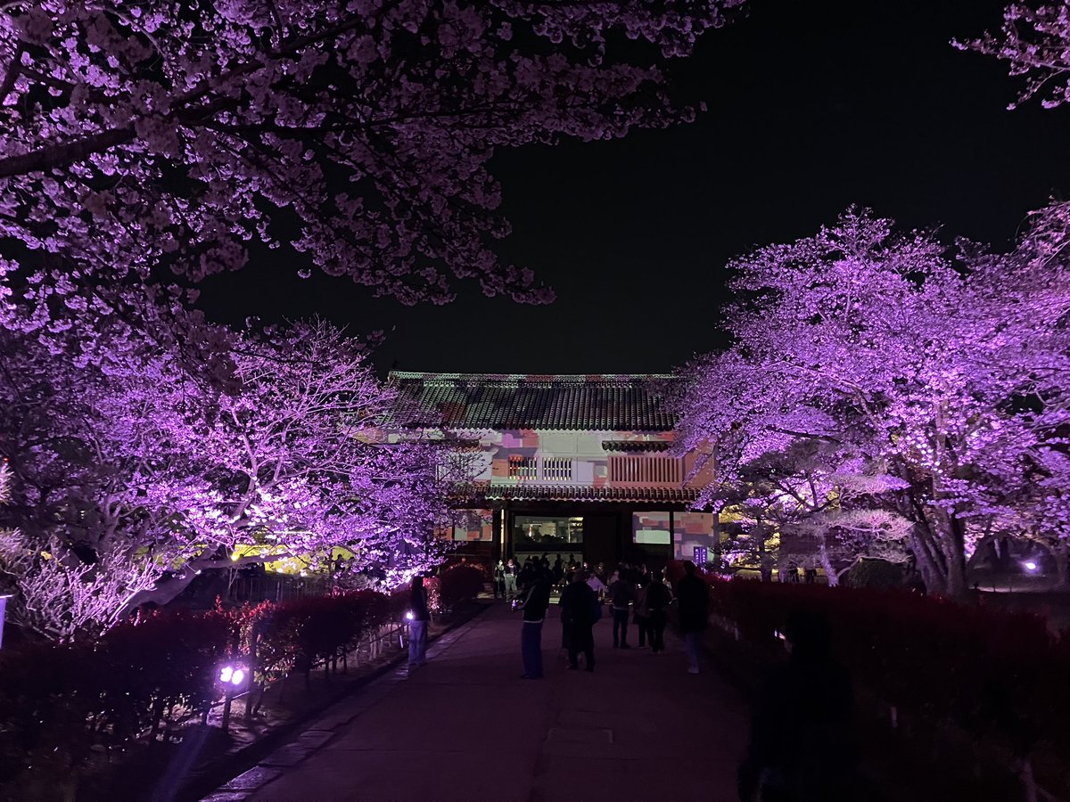 「日本のさくら名所100選」に選ばれている姫路城の西の丸庭園において、姫路城夜桜会「千姫幻想曲輪」が４月７日（日）まで開催されています。

HOTJAPANの一つとなっている姫路城に、この週末行ってみてください。
#世界遺産
#姫路城
#夜桜会
#桜
#満開
#ライトアップ
#HOTJAPAN
#JO1
#ロケ地