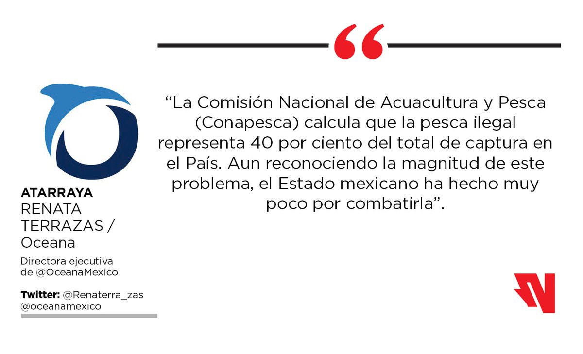 noroestemx's tweet photo. #COLUMNA ✍🏼 | Esta semana, @OceanaMexico nos entrega Pesca ilegal en México, un problema nacional, escrito por @Renaterra_zas, en donde advierte que a pesar del daño que ocasiona, poco se ha avanzado en los últimos 10 años
https://t.co/tRej8sA0HC https://t.co/KiEkrUergU