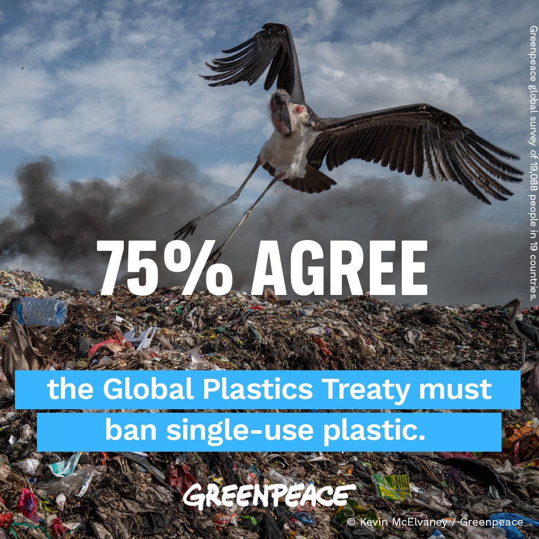 According to a new @Greenpeace poll, 75% of people believe a #PlasticsTreaty must ❌ ban single-use packaging! 🔎 Check out the country results in Greenpeace International’s full report: greenpeace.org/international/… #PlasticPollutes #BreakFreeFromPlastic