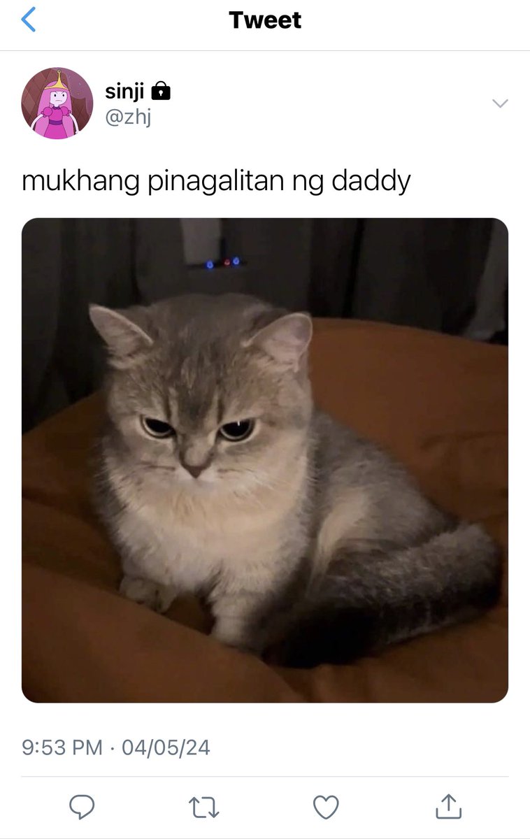 atingtaguan's tweet photo. dilf chico you say? https://t.co/3RpXP4pWJb