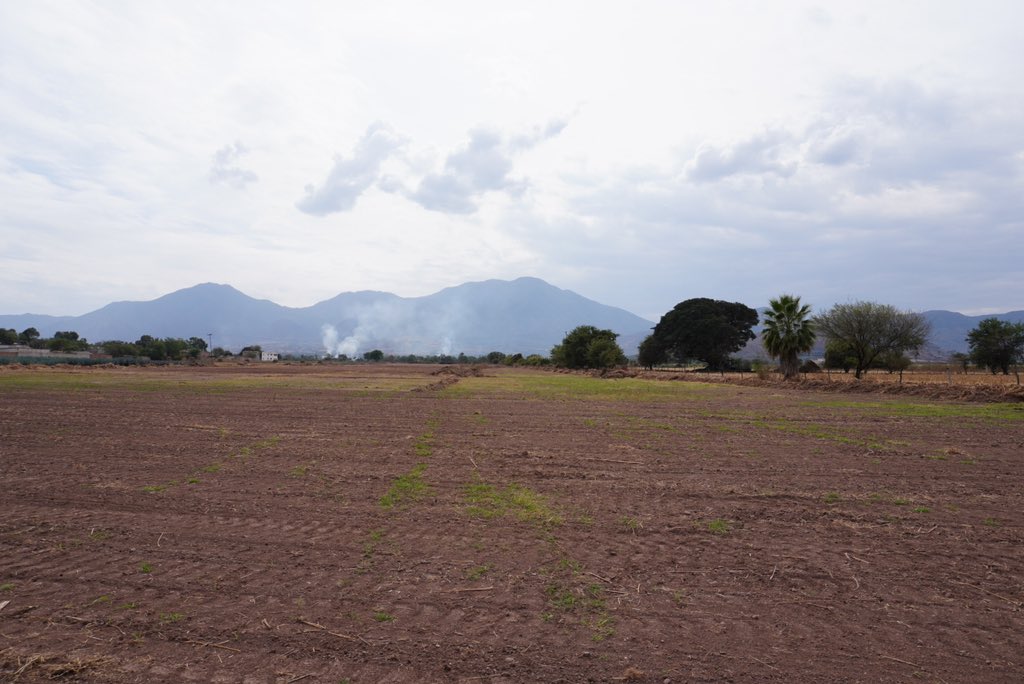 New 401 lot project in Jalisco, MX. For context, we buy/develop land, and simultaneously, families (first-time potential land owners) have a ~24mo payment plan to pay for the full cost of the land and infrastructure. When finished paying, families legally own the land title…