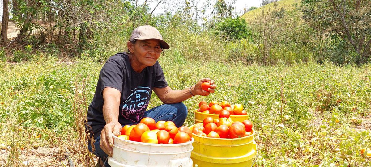 Nuestra administración sigue promoviendo soluciones sostenibles para transformar los sistemas alimentarios y alcanzar los #ODS en nuestra región. ¡Una asociación estratégica que abre nuevas oportunidades para la colaboración internacional en Panamá!