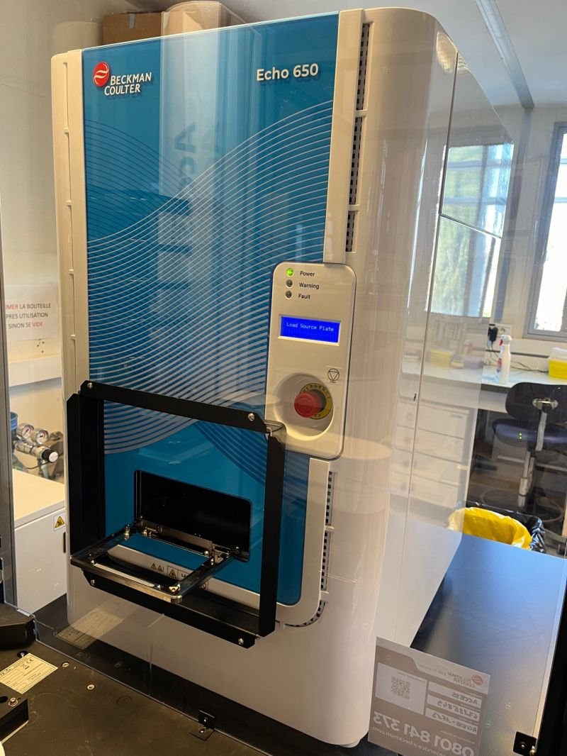 Xavier morelli tweet media