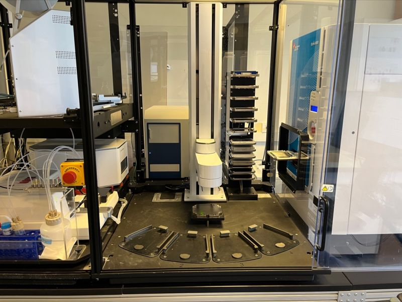 Xavier morelli tweet media