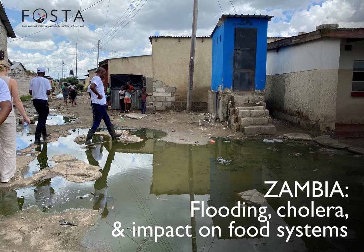 @KulimaIDS's @katharine_v outlines what triggered the recent #cholera outbreak in #Zambia, and how it strained the country's #health & #food systems, in this blogpost: shorturl.at/uvNXZ