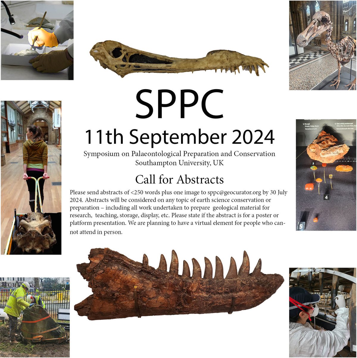 MrIchthyosaurus's tweet image. #SPPC2024 - call for abstracts!
#SPPC at @unisouthampton September 11th 2024
#Symposium
#Palaeontology 
#Preparation
#Conservation
#SymposiumOnPalaeontologicalPreparationAndConservation
