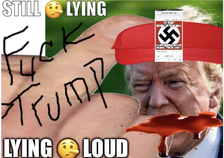 LissieWyatt's tweet photo. @theliamnissan This will help Liam!!! #DonaldTrumpIsAPOS #TRUMPSMELLSLIKESHIT https://t.co/0eRLYZM3WF
