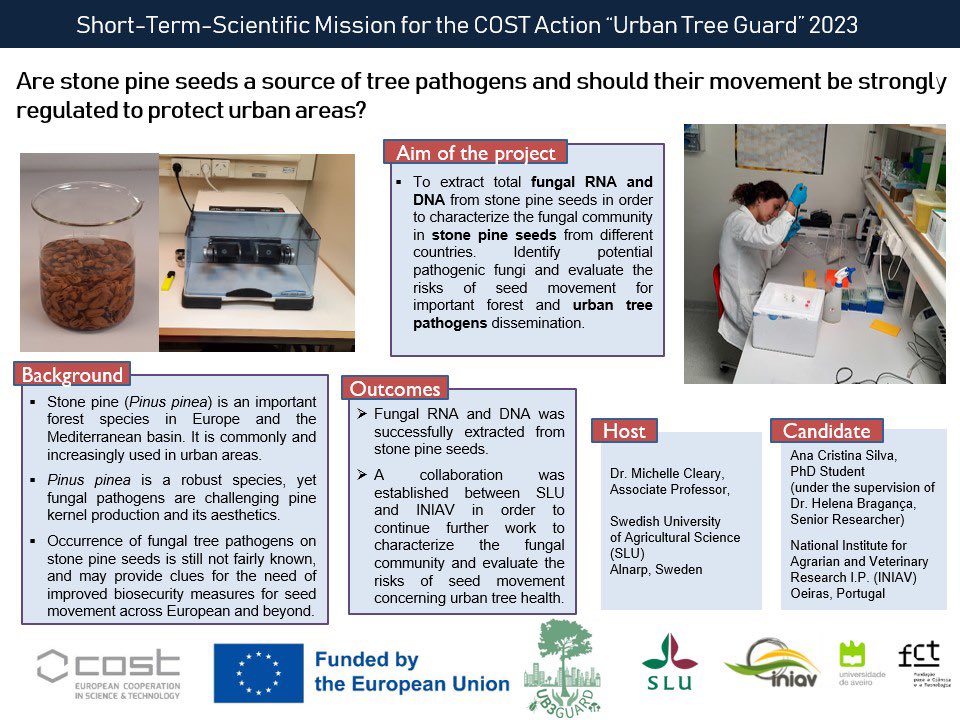 Check out our latest weekly report🌲🔬 

Exploring stone pine seeds as potential tree pathogen sources and the necessity of strong regulations for their movement to safeguard urban areas. 

#UrbanTreeGuard
#UrbanForestry 
#TreePathogens
#Research

@INIAV_IP