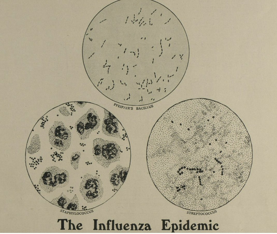 I will be giving a talk on the Influenza Pandemic in Ireland, 1918-1919 next Wednesday, 10th April at 1 pm in Pembroke Library.